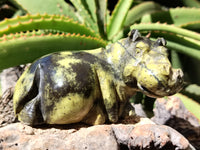 Polished Leopard Stone Hippo Carving x 4 From Zimbabwe - Toprock Gemstones and Minerals