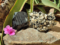 Natural Schorl Black Tourmaline Specimens x 2 From Erongo, Namibia - Toprock Gemstones and Minerals