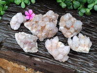 Natural Cactus Spirit Quartz Clusters x 6 From Boekenhouthoek, South Africa - Toprock Gemstones and Minerals