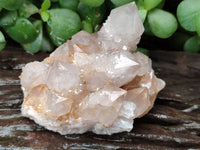 Natural Cactus Spirit Quartz Clusters x 6 From Boekenhouthoek, South Africa - Toprock Gemstones and Minerals