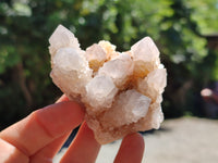 Natural Cactus Spirit Quartz Clusters x 6 From Boekenhouthoek, South Africa - Toprock Gemstones and Minerals