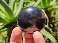 Polished Black Basalt Palm Stones x 26 From Antsirabe, Madagascar - Toprock Gemstones and Minerals