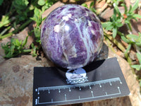 Polished Lepidolite with Pink Rubellite Sphere x 6 From Madagascar - Toprock Gemstones and Minerals