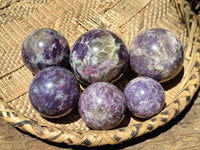 Polished Lepidolite with Pink Rubellite Sphere x 6 From Madagascar - Toprock Gemstones and Minerals