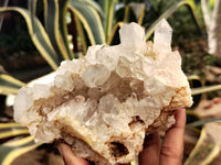 Natural Limonite Quartz Clusters x 4 From Solwezi, Zambia - Toprock Gemstones and Minerals