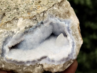Natural Blue Lace Agate Geode Specimens x 24 From Malawi - Toprock Gemstones and Minerals