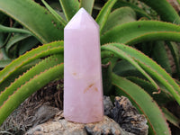 Polished Rose Quartz Points x 2 From Ambatondrazaka, Madagascar - Toprock Gemstones and Minerals