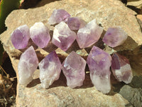 Natural Jacaranda Amethyst Quartz Crystals x 12 from Mumbwa, Zambia - Toprock Gemstones and Minerals