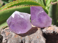 Natural Jacaranda Amethyst Quartz Crystals x 12 from Mumbwa, Zambia - Toprock Gemstones and Minerals