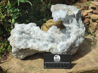 Natural Celestite Geode Specimen x 1 From Sakoany, Madagascar - Toprock Gemstones and Minerals