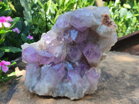 Natural Jacaranda Amethyst Quartz Clusters x 2 from Mumbwa, Zambia - Toprock Gemstones and Minerals