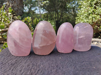 Polished Rose Quartz Standing Free Forms x 4 From Madagascar - Toprock Gemstones and Minerals