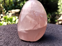 Polished Rose Quartz Standing Free Forms x 4 From Madagascar - Toprock Gemstones and Minerals