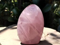 Polished Rose Quartz Standing Free Forms x 4 From Madagascar - Toprock Gemstones and Minerals