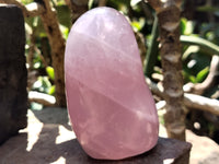 Polished Rose Quartz Standing Free Forms x 4 From Madagascar - Toprock Gemstones and Minerals