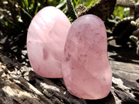 Polished Rose Quartz Standing Free Forms x 4 From Madagascar - Toprock Gemstones and Minerals