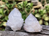 Natural Amethyst Cactus Spirit Quartz Clusters x 12 From Boekenhouthoek, South Africa - Toprock Gemstones and Minerals