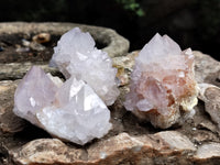 Natural Amethyst Cactus Spirit Quartz Clusters x 12 From Boekenhouthoek, South Africa - Toprock Gemstones and Minerals