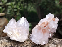 Natural Amethyst Cactus Spirit Quartz Clusters x 12 From Boekenhouthoek, South Africa - Toprock Gemstones and Minerals