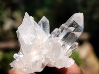 Natural Clear Quartz Crystals x 70 From Mpika, Zambia - Toprock Gemstones and Minerals