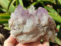 Natural Jacaranda Amethyst Quartz Clusters x 2 from Mumbwa, Zambia - Toprock Gemstones and Minerals