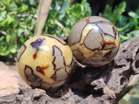 Polished Septerye Spheres x 4 From Mahajanga, Madagascar - Toprock Gemstones and Minerals
