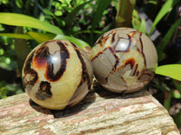Polished Septerye Spheres x 4 From Mahajanga, Madagascar - Toprock Gemstones and Minerals
