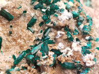 Natural Dioptase Matrix Specimen x 1 From Namibia - Toprock Gemstones and Minerals