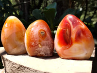 Polished Carnelian Standing Free Forms x 5 From Madagascar - Toprock Gemstones and Minerals