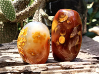 Polished Carnelian Standing Free Forms x 5 From Madagascar - Toprock Gemstones and Minerals