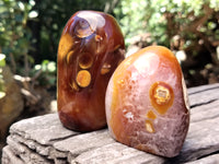 Polished Carnelian Standing Free Forms x 5 From Madagascar - Toprock Gemstones and Minerals