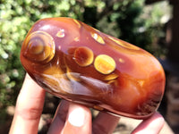 Polished Carnelian Standing Free Forms x 5 From Madagascar - Toprock Gemstones and Minerals