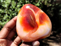 Polished Carnelian Standing Free Forms x 5 From Madagascar - Toprock Gemstones and Minerals