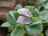 Natural Zululand Amethyst Crystals x 1.6 Kg Lot From South Africa - Toprock Gemstones and Minerals