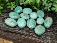 Polished Amazonite Palm Stones x 12 from Madagascar - Toprock Gemstones and Minerals