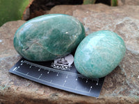 Polished Amazonite Palm Stones x 12 from Madagascar - Toprock Gemstones and Minerals