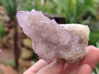 Natural Amethyst Spirit Quartz Clusters x 6 From Boekenhouthoek, South Africa - Toprock Gemstones and Minerals