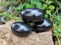 Polished Black Basalt Palm Stones x 12 From Antsirabe, Madagascar - Toprock Gemstones and Minerals
