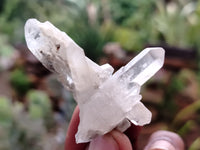 Natural Quartz Clusters x 35 From Mpika, Zambia - Toprock Gemstones and Minerals
