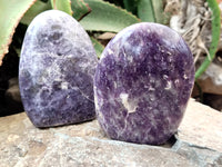 Polished Lepidolite Standing Free Forms x 6 From Ambatondrazaka, Madagascar - Toprock Gemstones and Minerals
