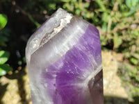 Polished Chevron Amethyst Point x 1 from Madagascar - Toprock Gemstones and Minerals