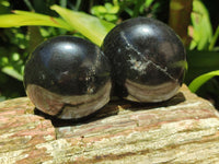 Polished Black Basalt Palm Stones x 12 From Antsirabe, Madagascar - Toprock Gemstones and Minerals