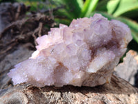 Natural Amethyst Spirit Quartz Clusters x 6 From Boekenhouthoek, South Africa - Toprock Gemstones and Minerals