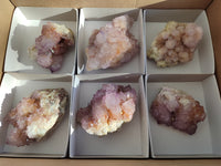 Natural Amethyst Spirit Quartz Clusters x 6 From Boekenhouthoek, South Africa - Toprock Gemstones and Minerals