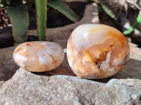 Polished Flower Agate Palm Stones x 12 From Antsahalova, Madagascar - Toprock Gemstones and Minerals
