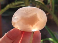 Polished Flower Agate Palm Stones x 12 From Antsahalova, Madagascar - Toprock Gemstones and Minerals