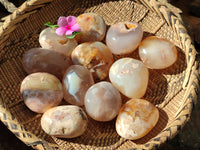 Polished Flower Agate Palm Stones x 12 From Antsahalova, Madagascar - Toprock Gemstones and Minerals