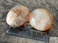 Polished Flower Agate Palm Stones x 12 From Antsahalova, Madagascar - Toprock Gemstones and Minerals