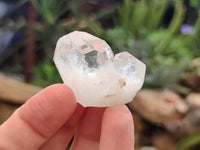Natural Quartz Crystals x 70 From Mpika, Zambia - Toprock Gemstones and Minerals