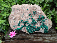 Natural Dioptase Cabinet Specimen x 1 From Congo - Toprock Gemstones and Minerals